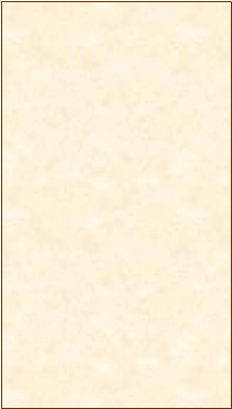 Tekstboks: 