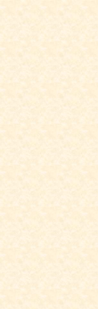 Tekstboks: 