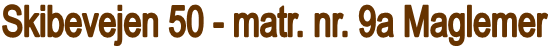 Skibevejen 50 - matr. nr. 9a Maglemer